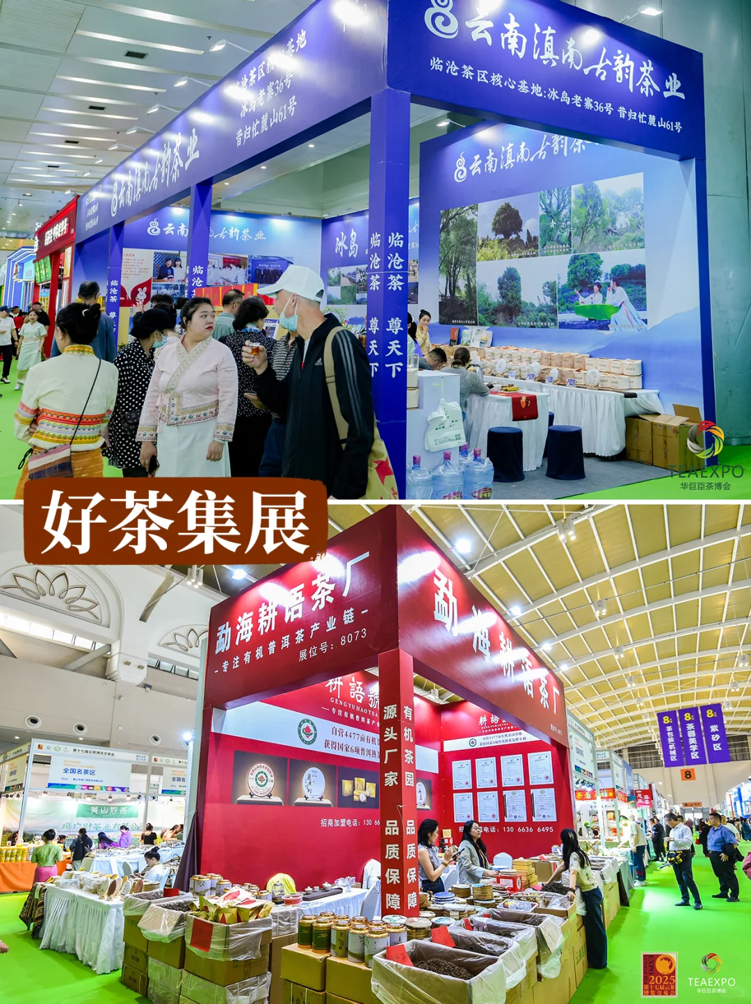 周末去哪儿?杭州人10月必逛的茶博会来啦