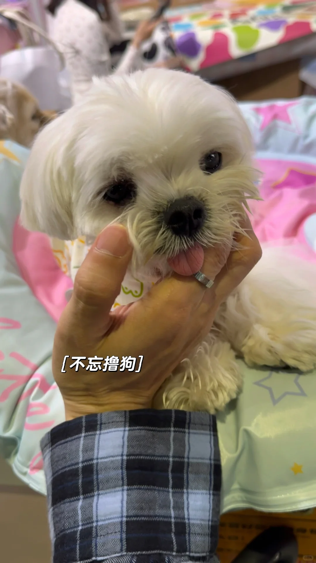 暴走2万步总结的2025它博会攻略!