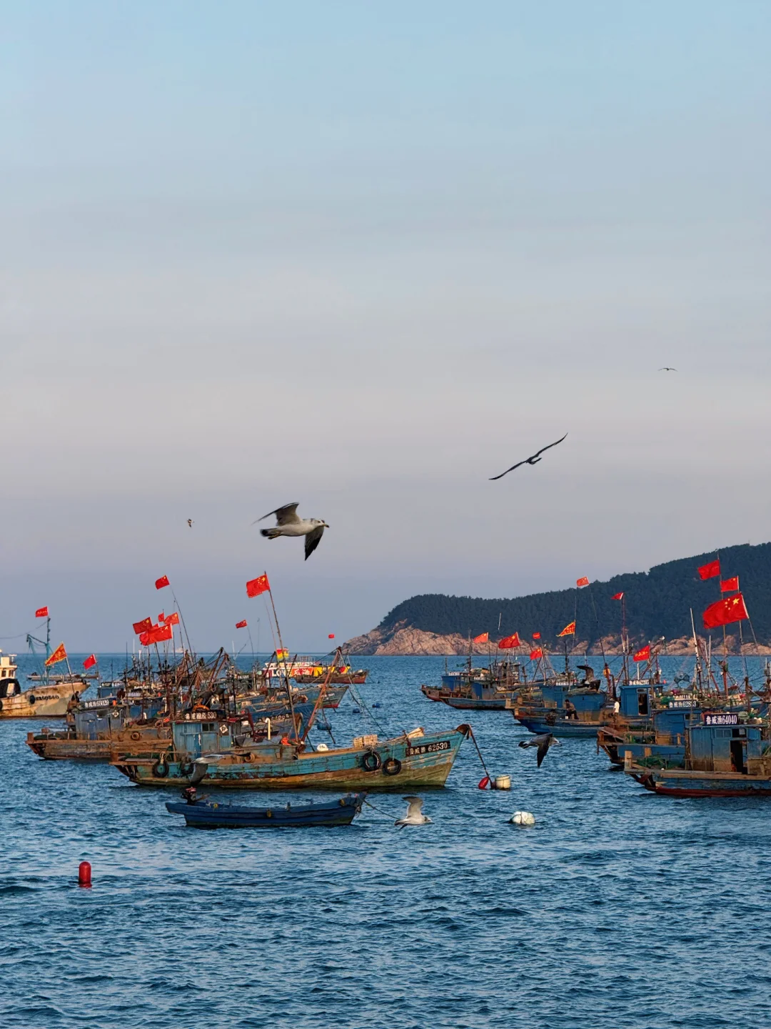 一次性玩个够！威海—烟台—大连旅游攻略