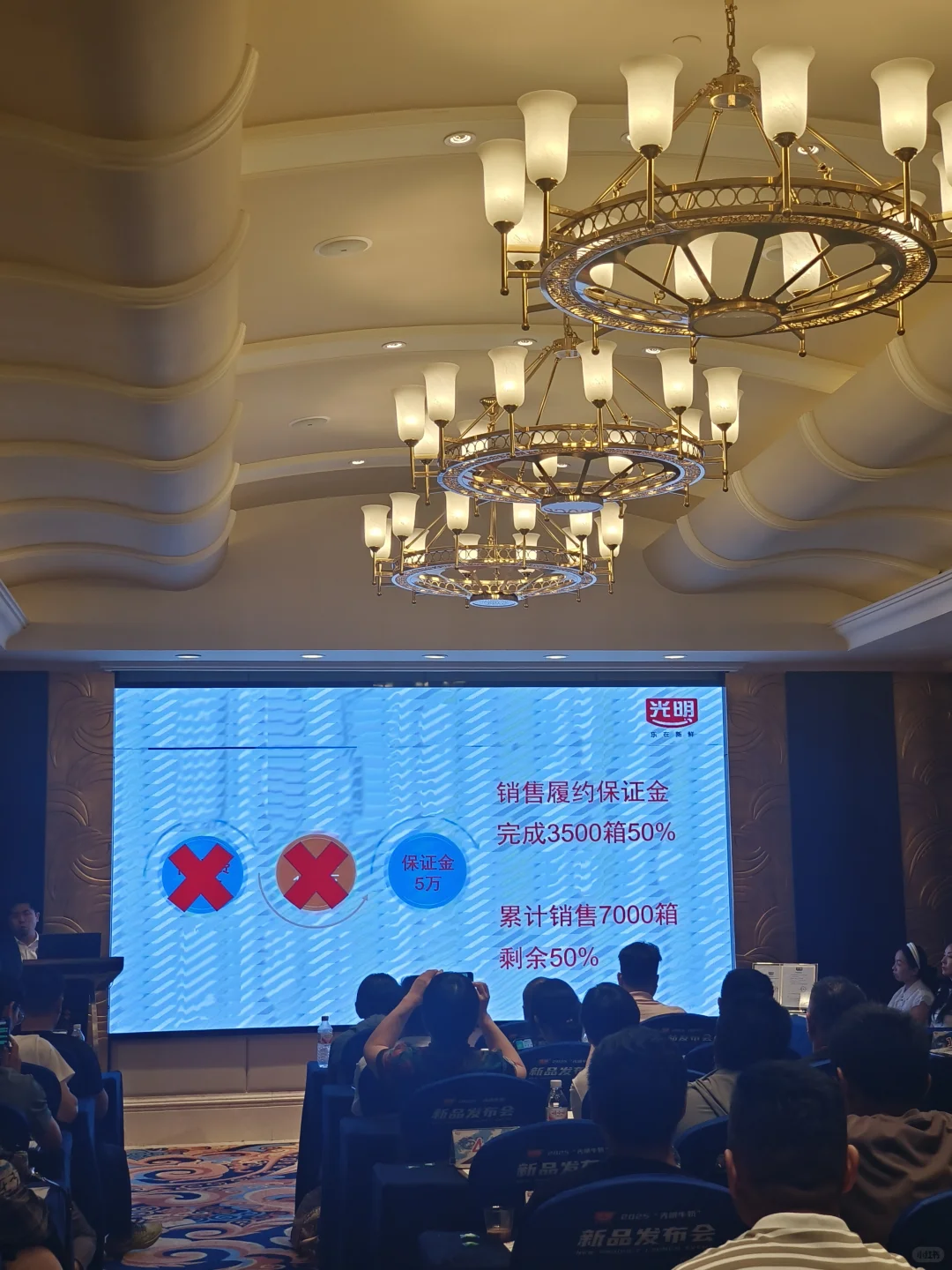 光明新品发布会