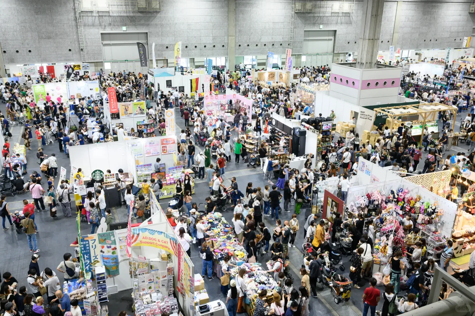 宠物同伴入场OK!大阪大规模宠物市集登场