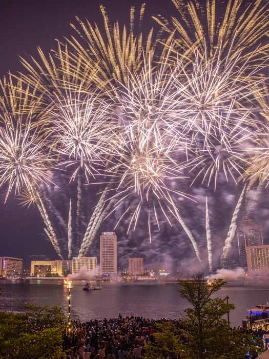 你们催的迪拜10月活动它来了