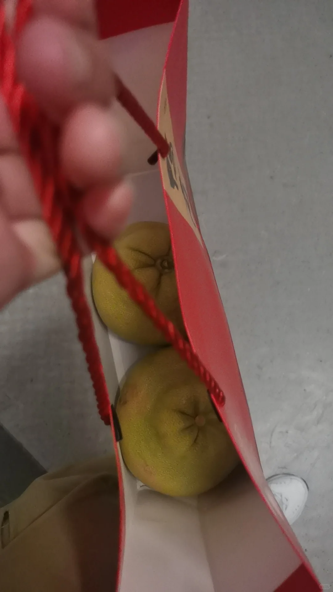 我要做个专题记录自己