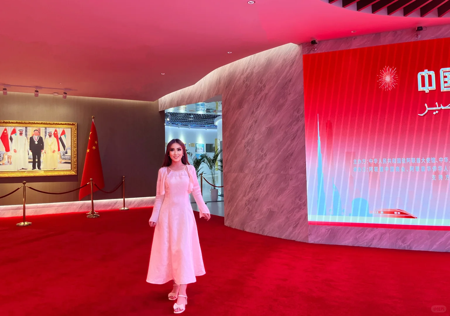 ????迪拜世博城参赛/ 与驻阿大使和领事