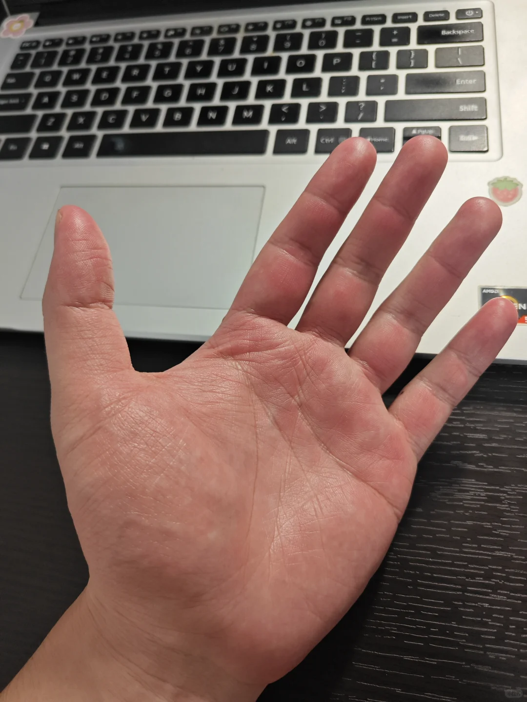 日本海外营业新人第一次参加公司展会感受