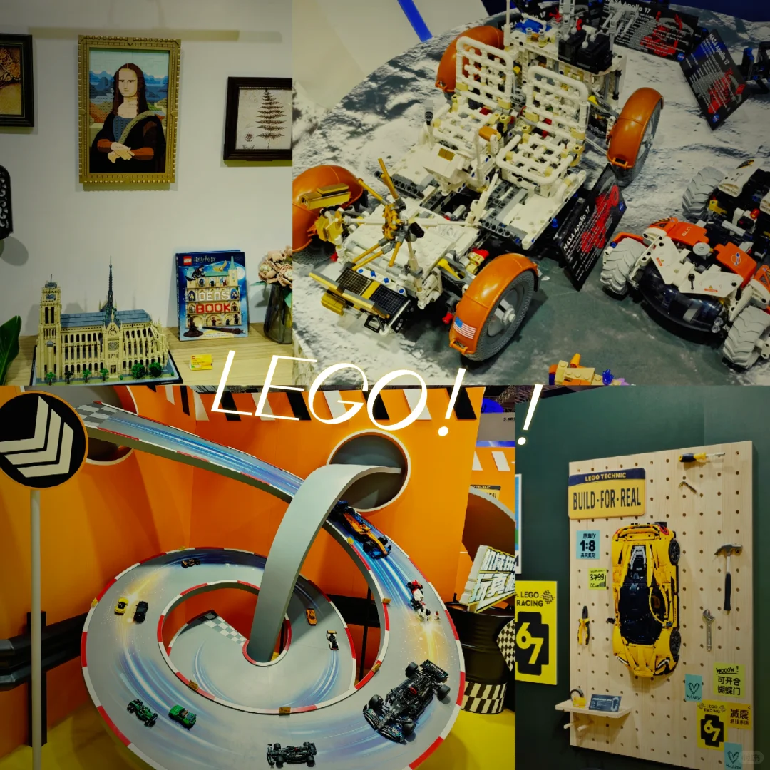 同济学子勇闯进博会