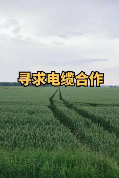 紧急需求：电缆供应商！