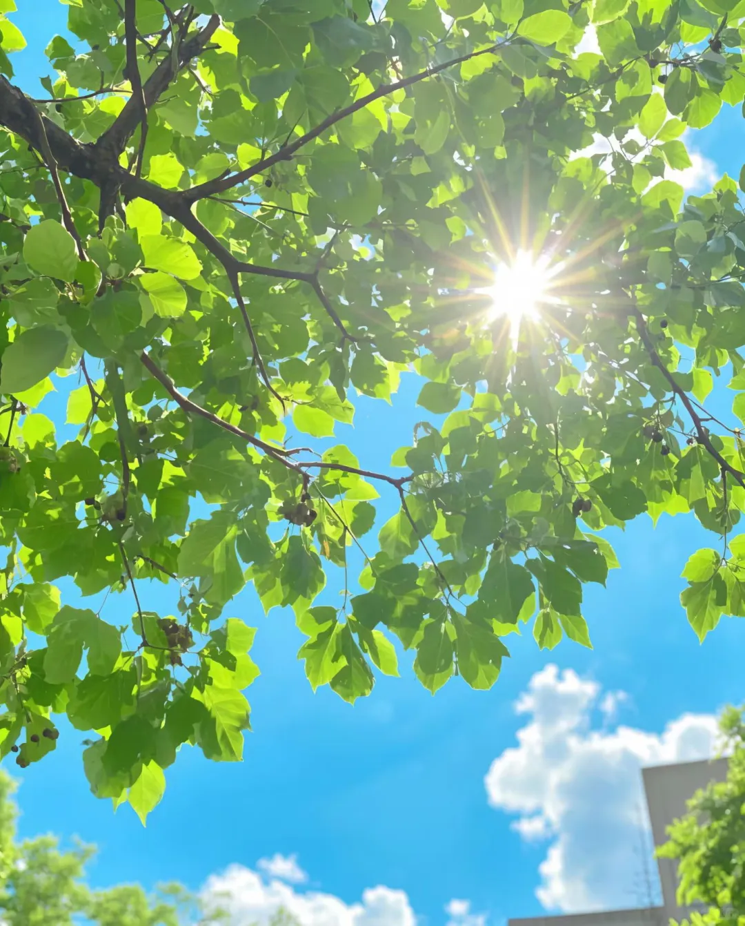 电商会计常说：搭建财务体系，到底做什么？