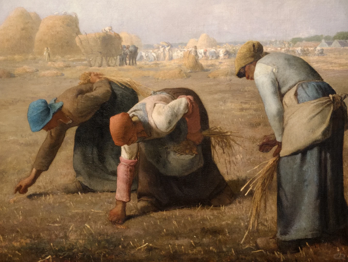 踩到奥赛展的尾巴