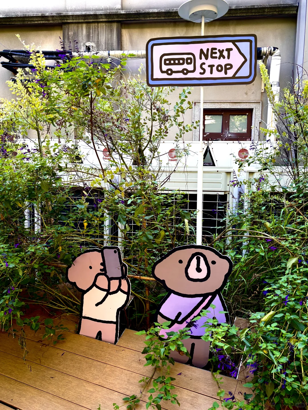 上海新展 | 触到内心超治愈的展览