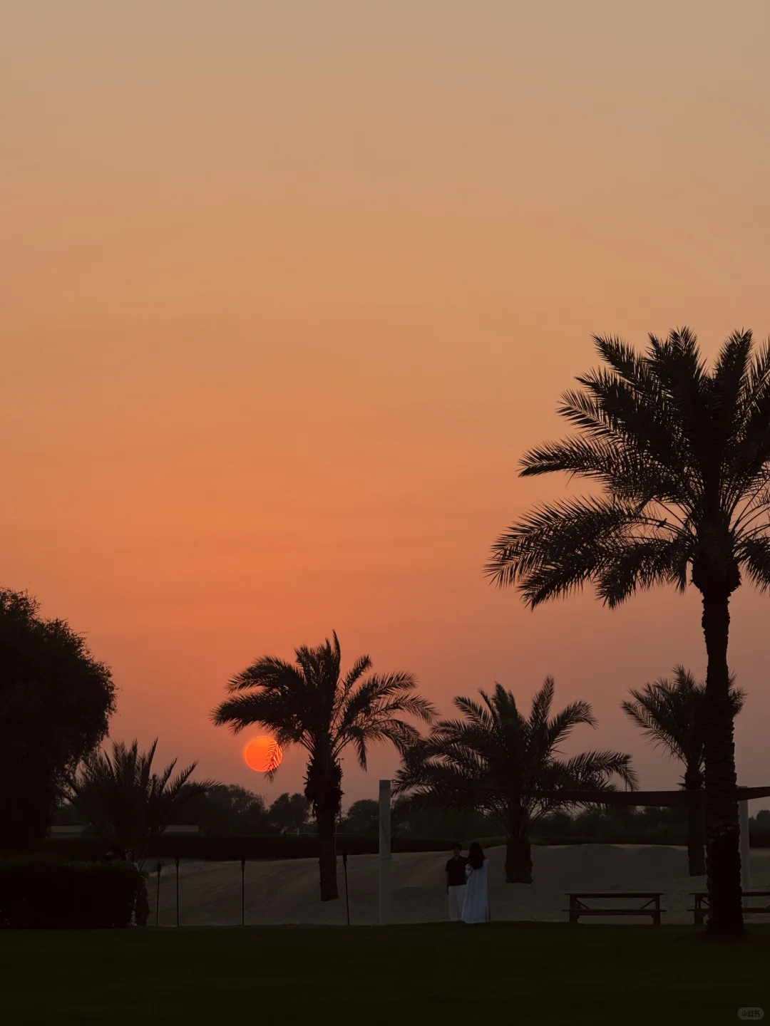 属于中东的浪漫|迪拜超绝沙漠度假酒店