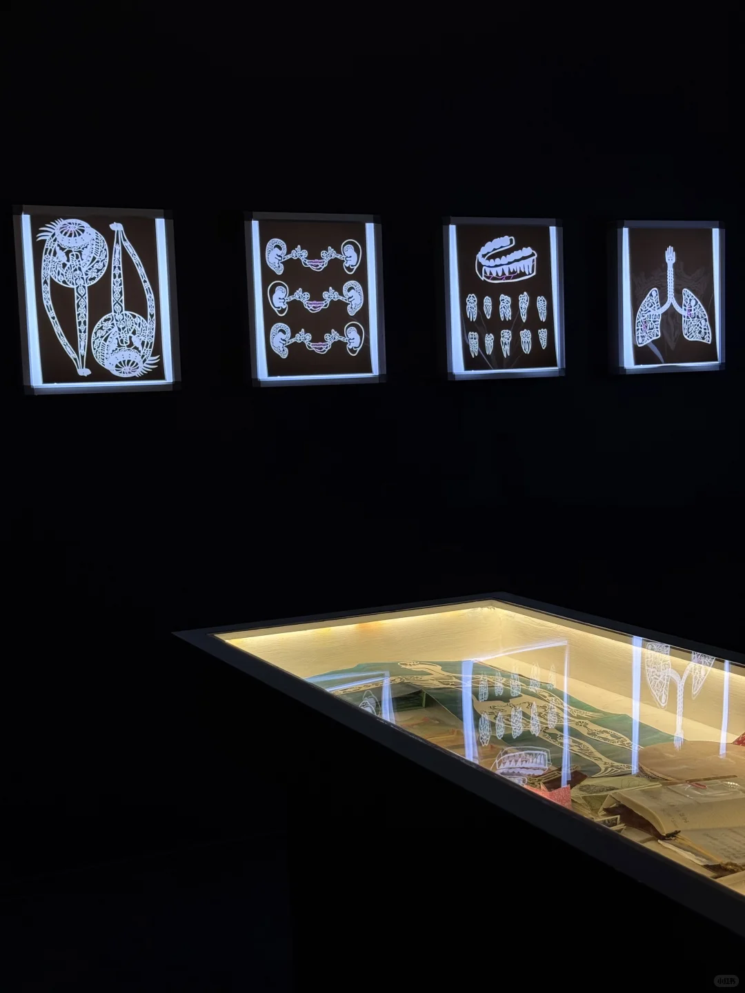 我很少用“震撼”形容一场展览！！梦幻剪纸美哭