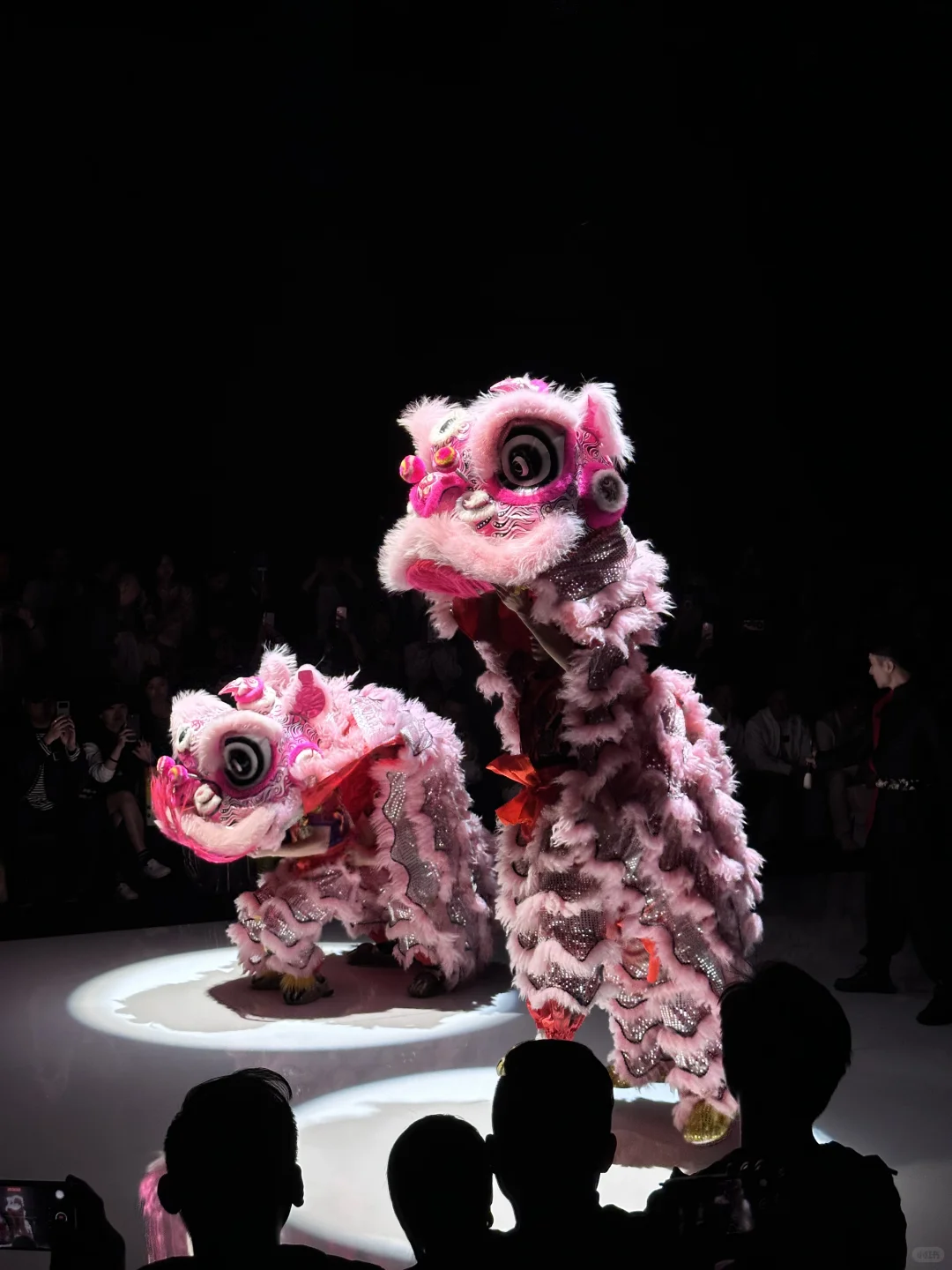 被英歌舞开场秀震撼!南油荔秀采购节太绝啦