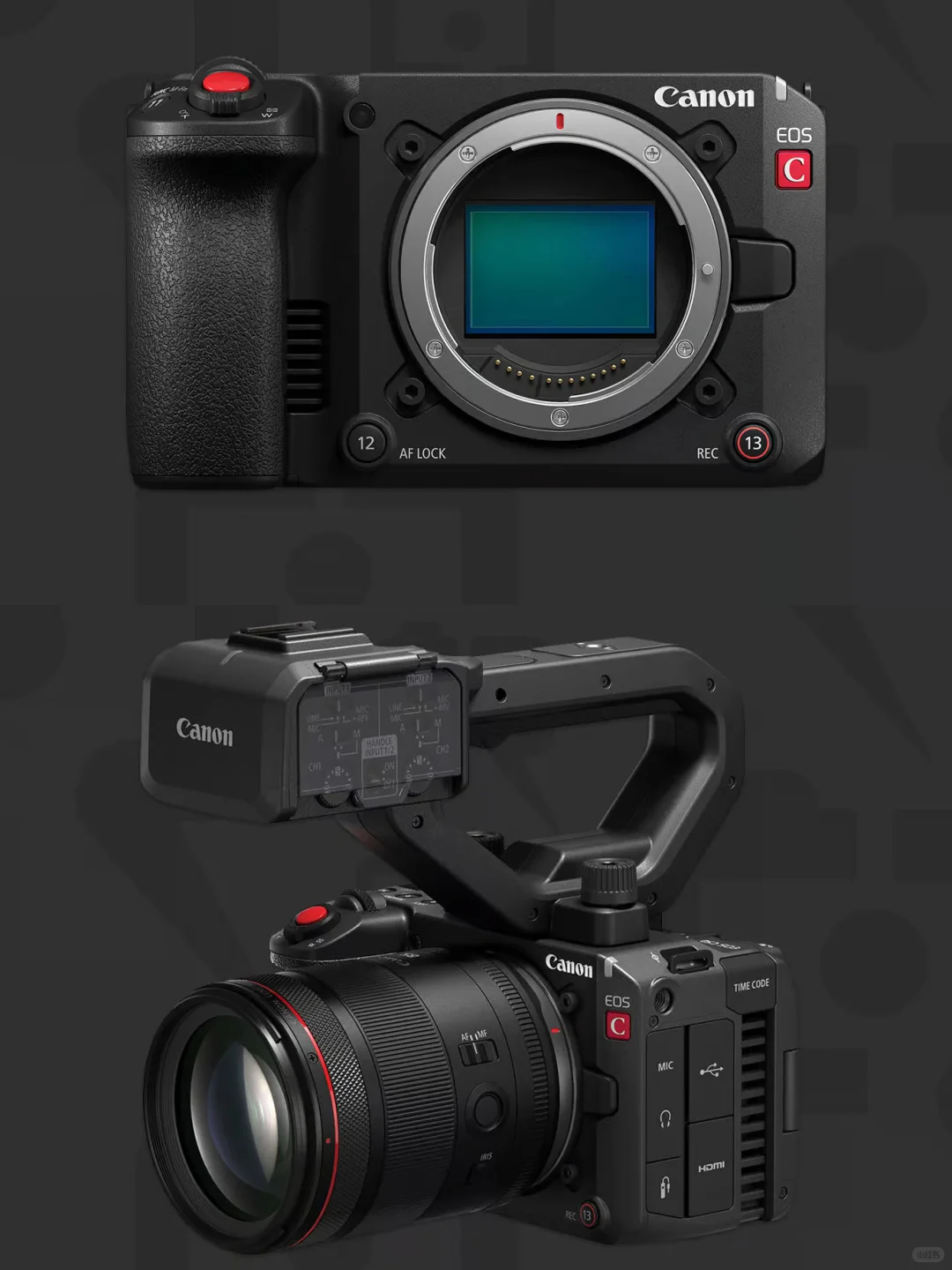 佳能Cinema EOS C50发布会提前看