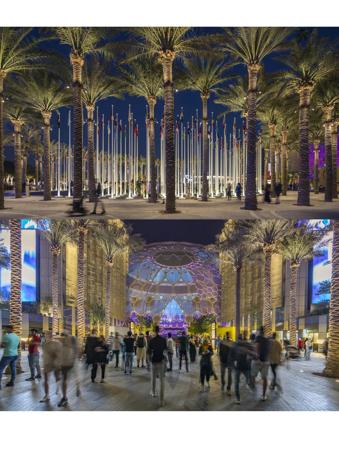 用景观驯服50℃沙漠,让千万人暴走不暴汗!