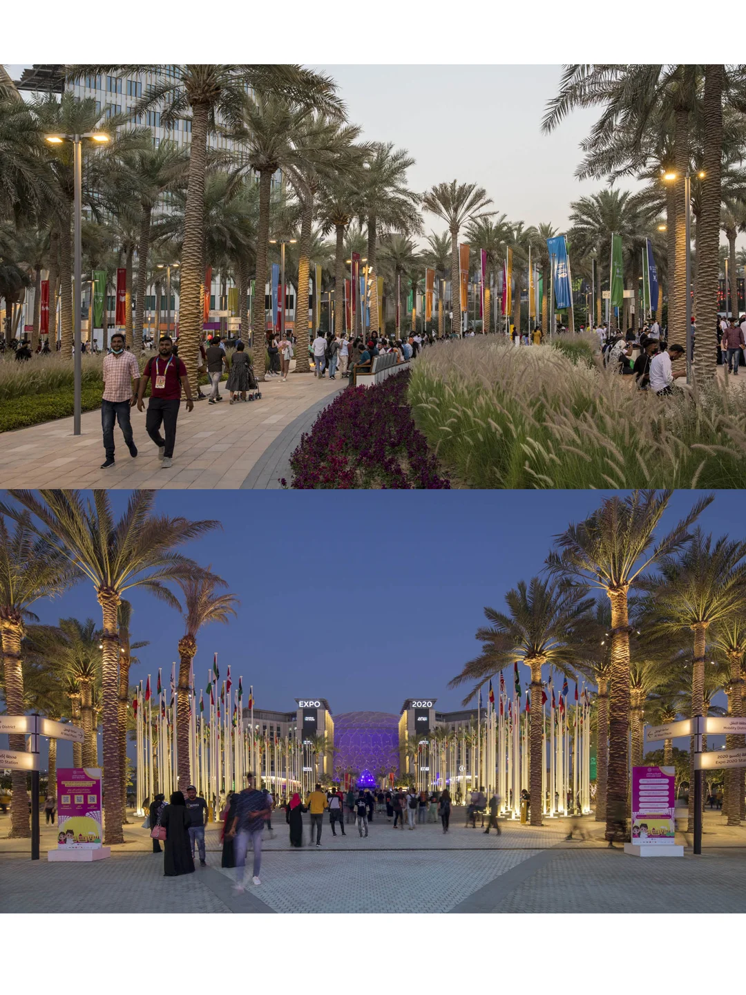 用景观驯服50℃沙漠,让千万人暴走不暴汗!