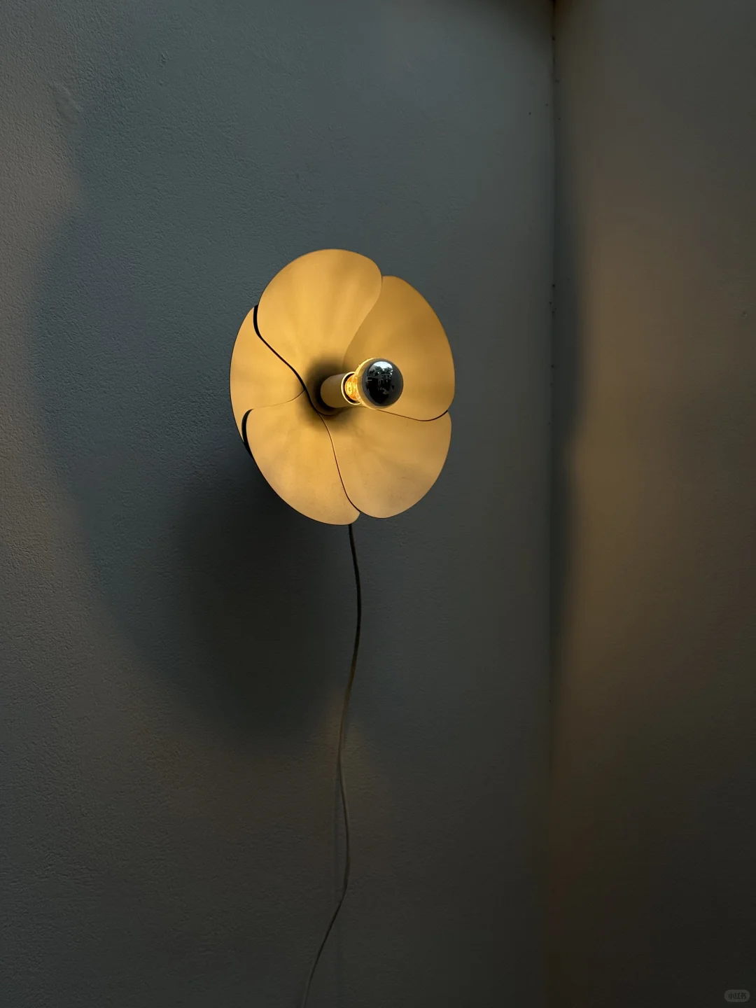 上海新展｜武康路上的漂亮客厅?️