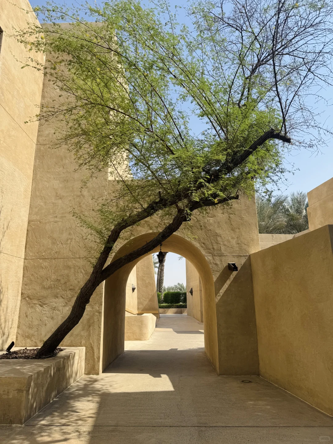 属于中东的浪漫|迪拜超绝沙漠度假酒店