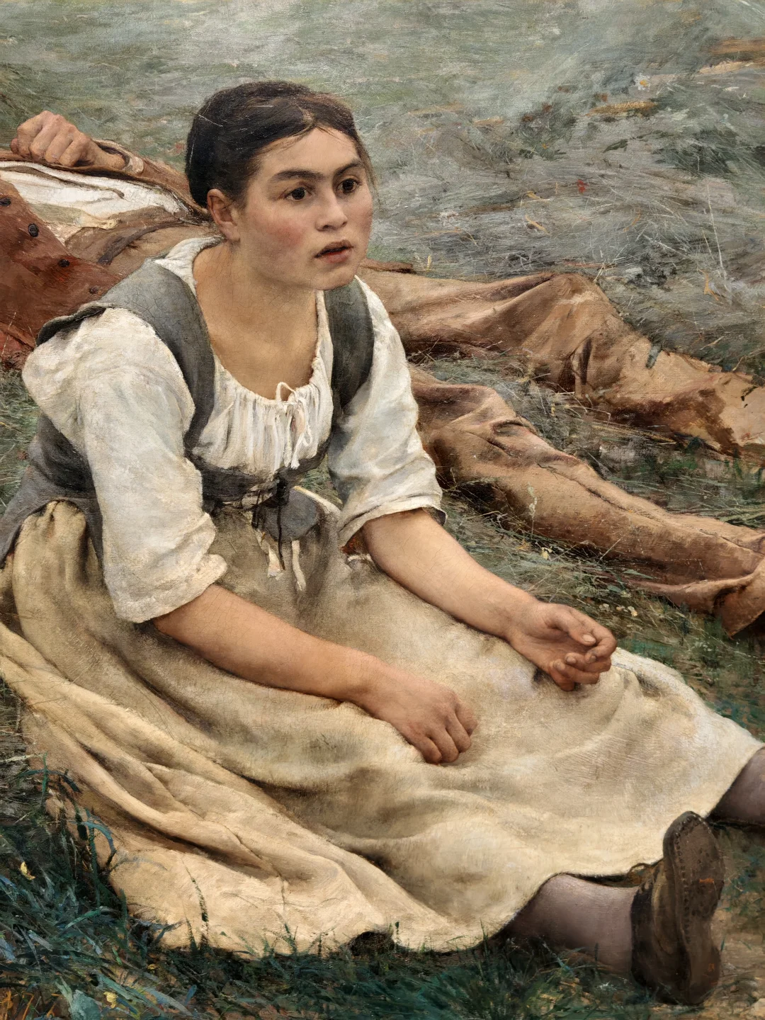 踩到奥赛展的尾巴