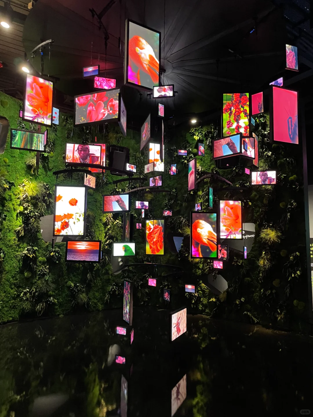 总监带你看世博会——德国馆(2020)