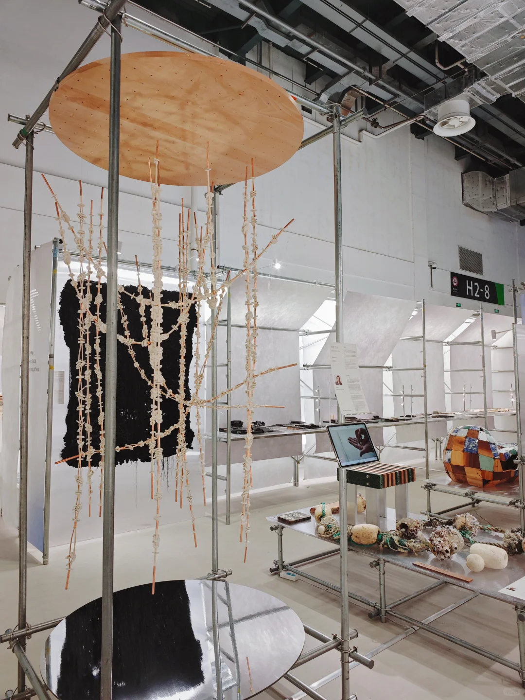 超涨知识的上海新展,有被惊艳到…