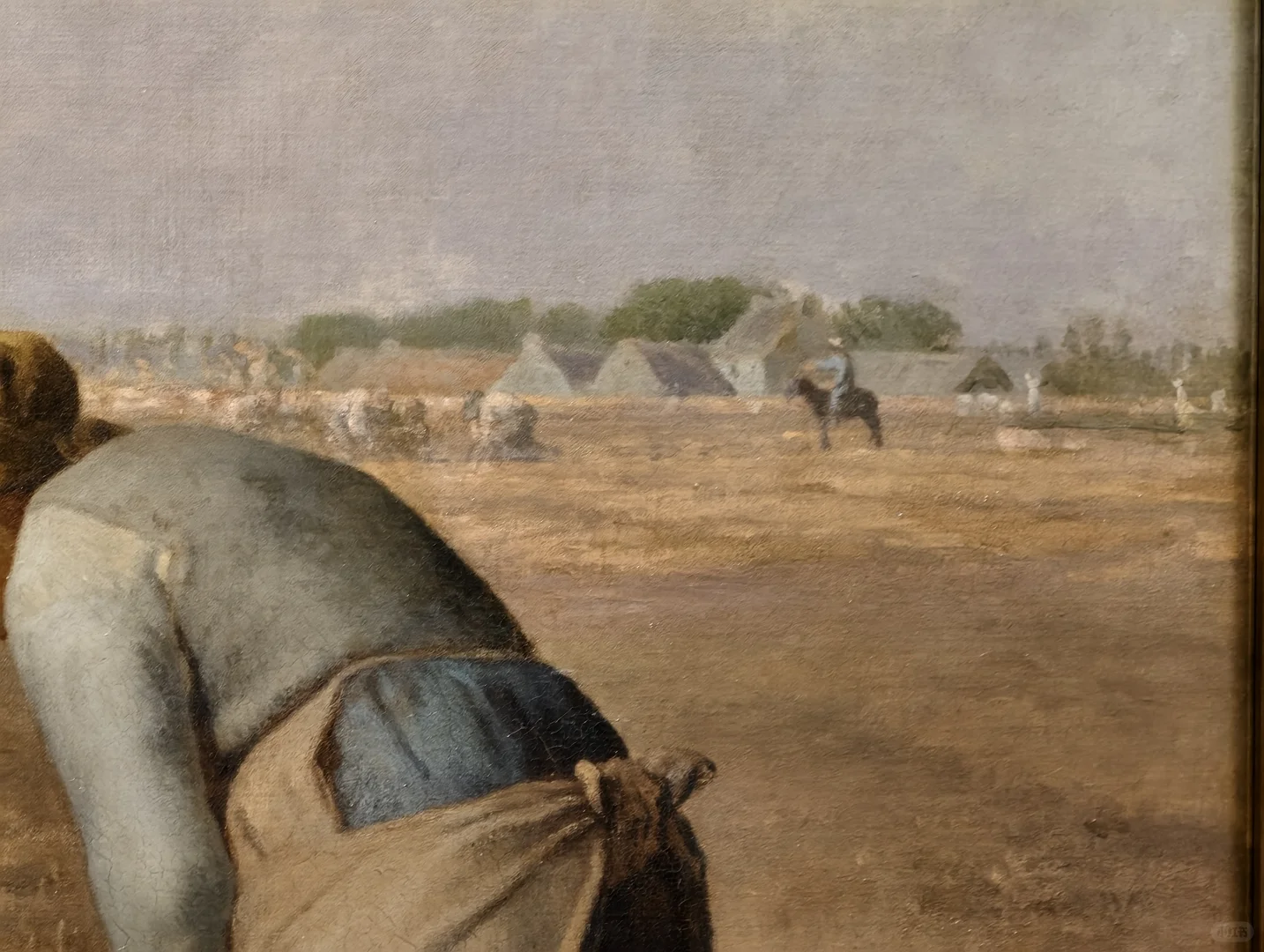 踩到奥赛展的尾巴