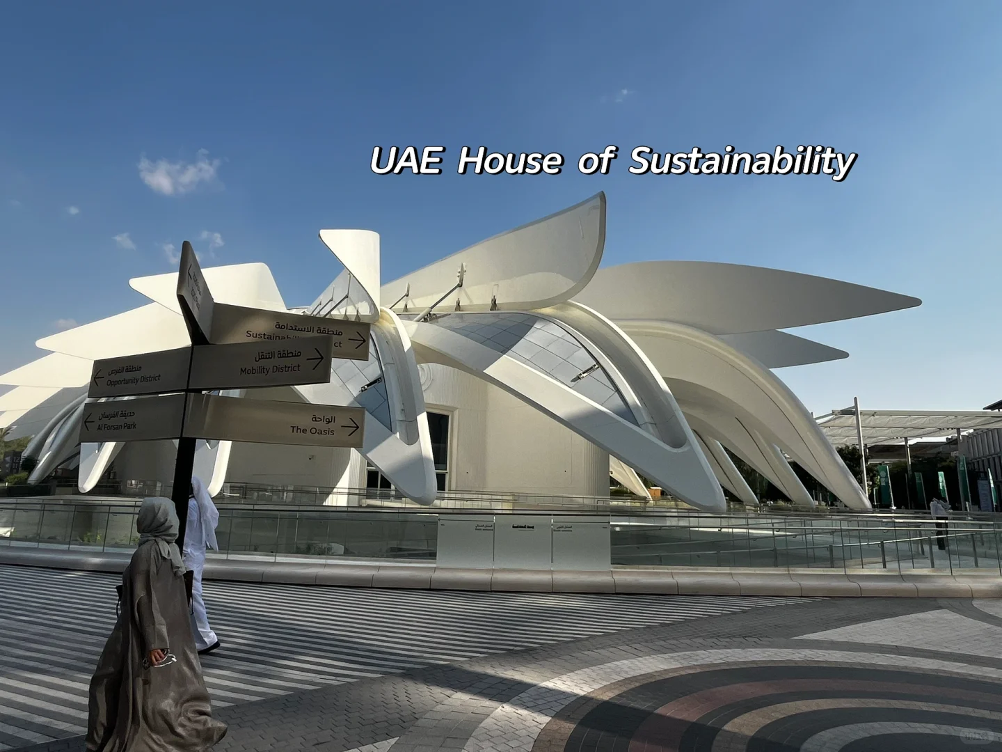 COP28之神奇的建筑