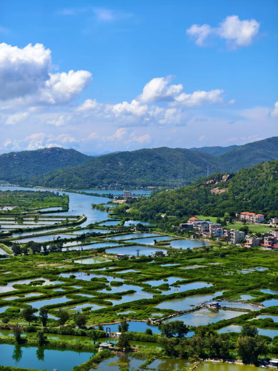 电商会计常说：搭建财务体系，到底做什么？