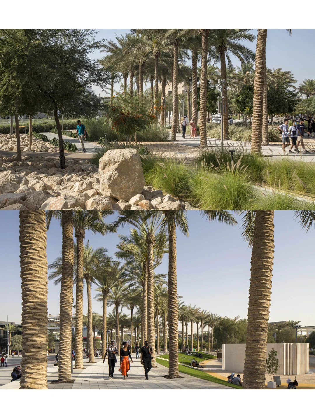 用景观驯服50℃沙漠,让千万人暴走不暴汗!