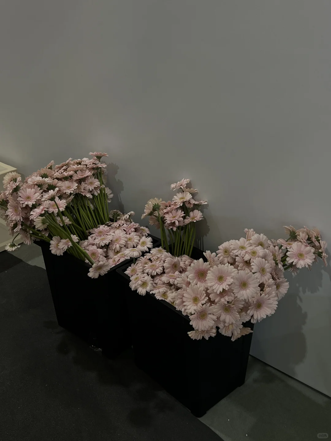 「审美积累」藏在意法春季会展里的美学空间