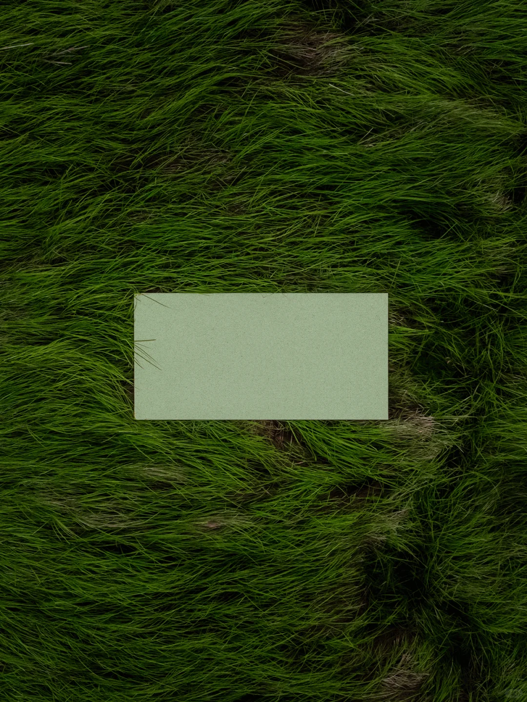 ✨双城双展预警!东鹏新材带着绿色建材来啦