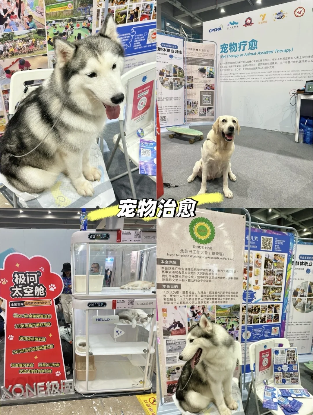 太好逛了|广州美博会·愈生活博览会