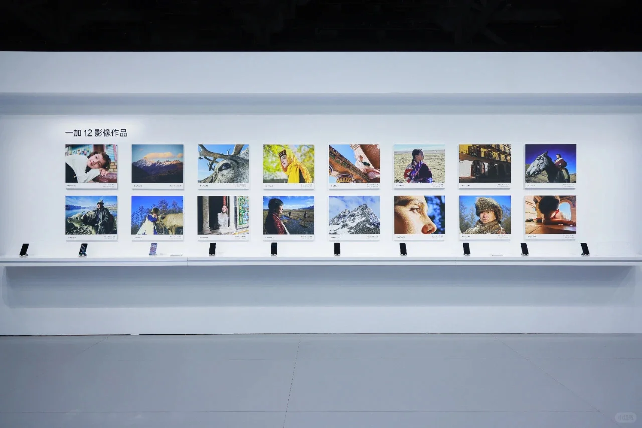 活动案例分享 | 一加12新品发布会