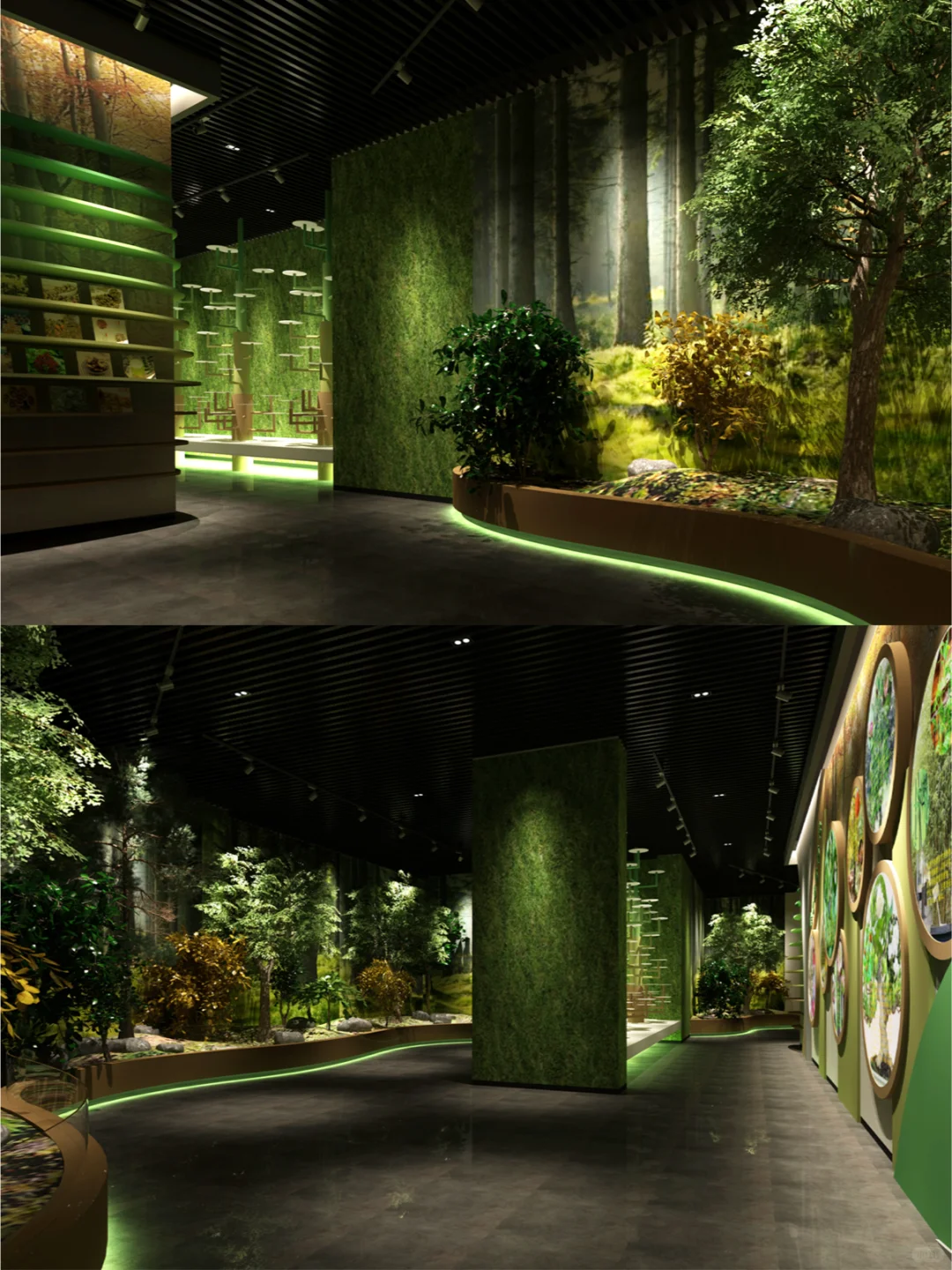 超赞“沉浸式”植物展厅设计