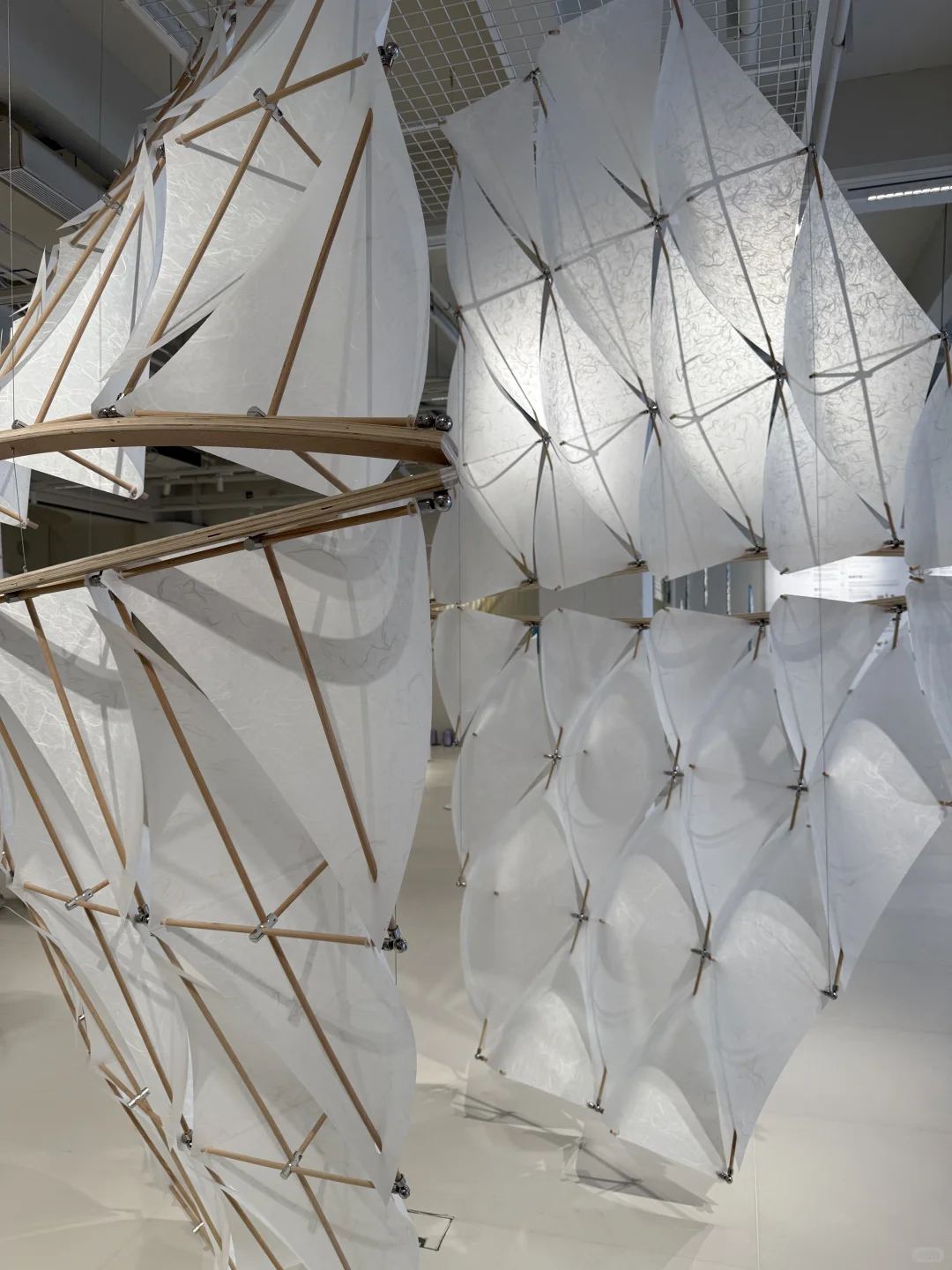 服装人凭着DNA就能找到的展