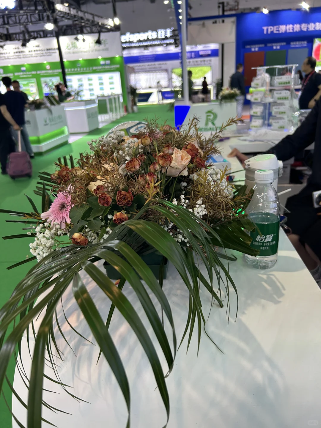 体博会第3️⃣天