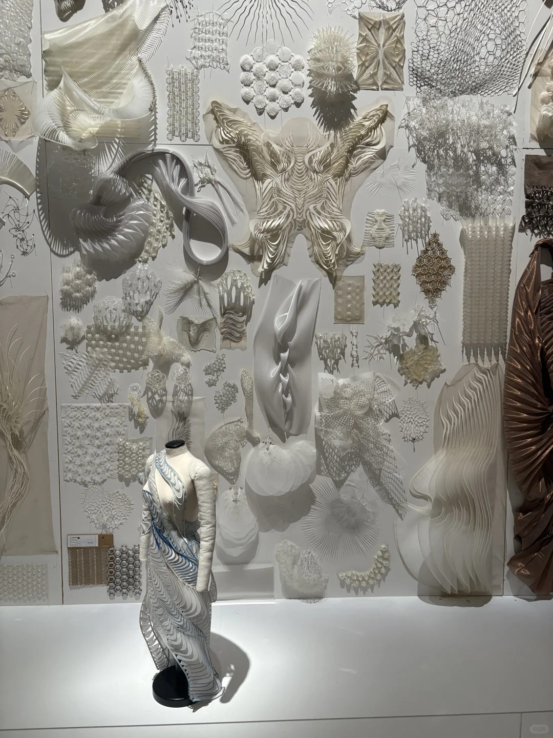 令人惊叹的灵感版?? Iris van Herpen展览