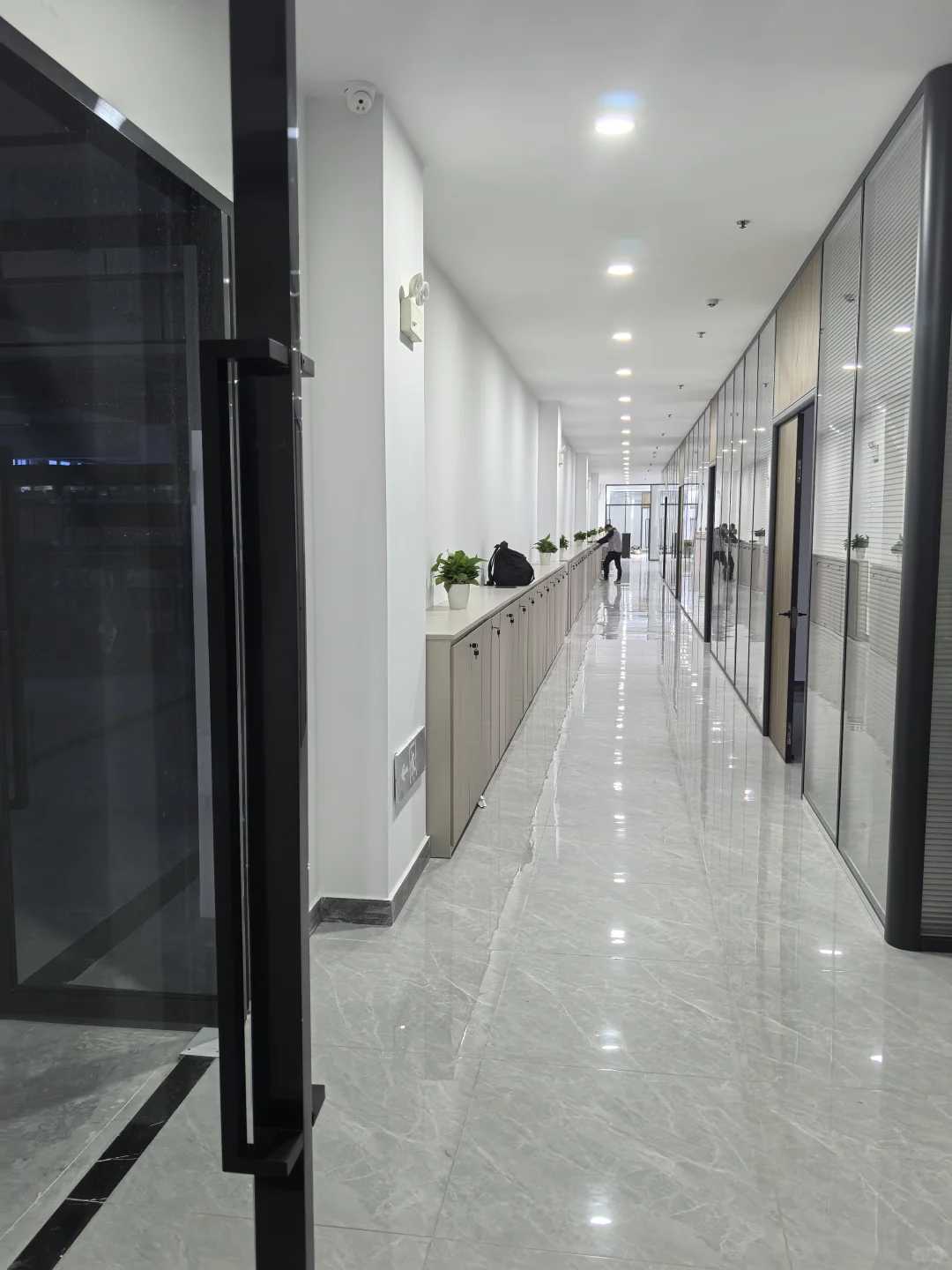 东莞枫海跨境招聘采购助理1名