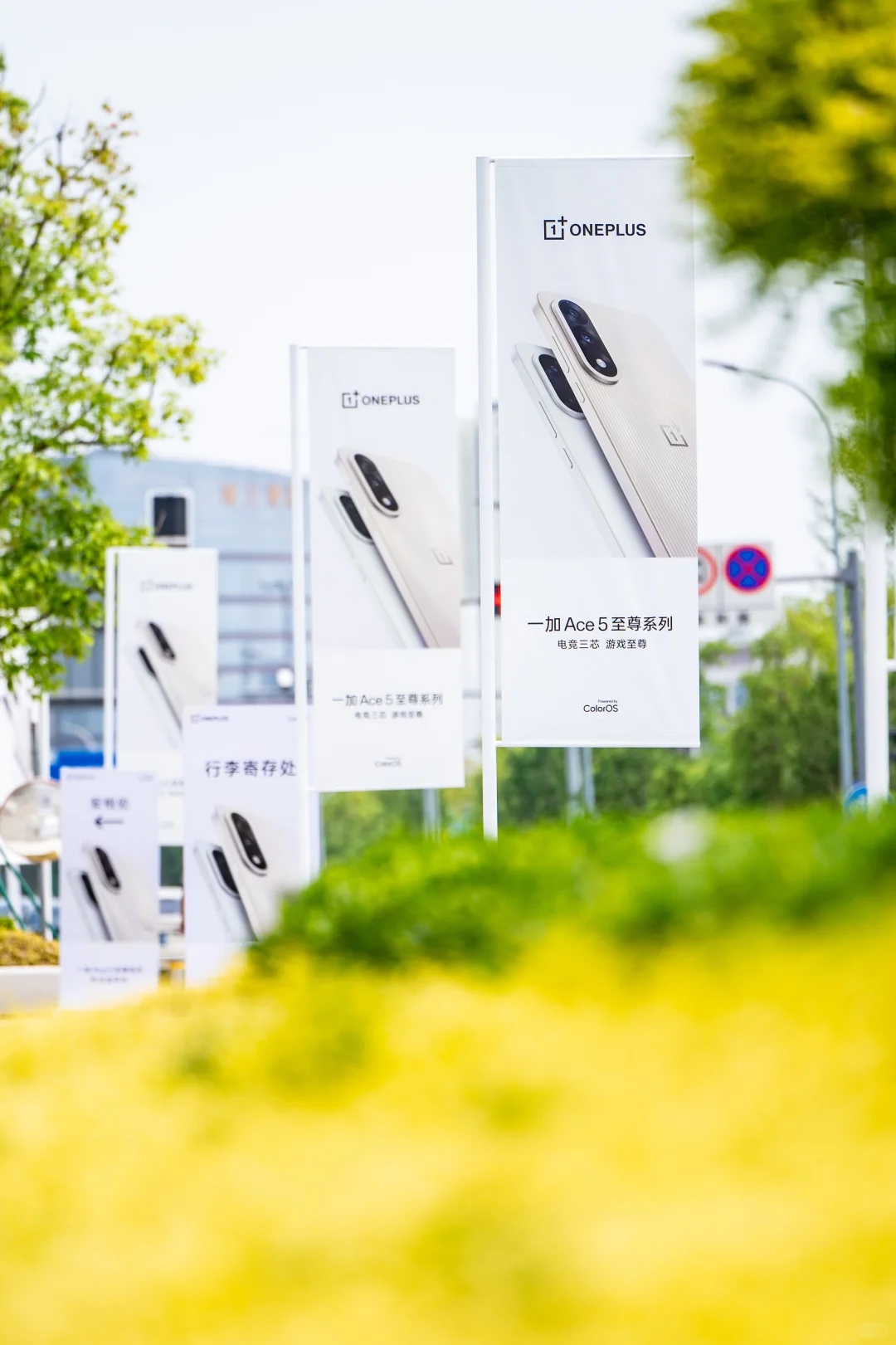 在现场!忍不住先多拍几张!