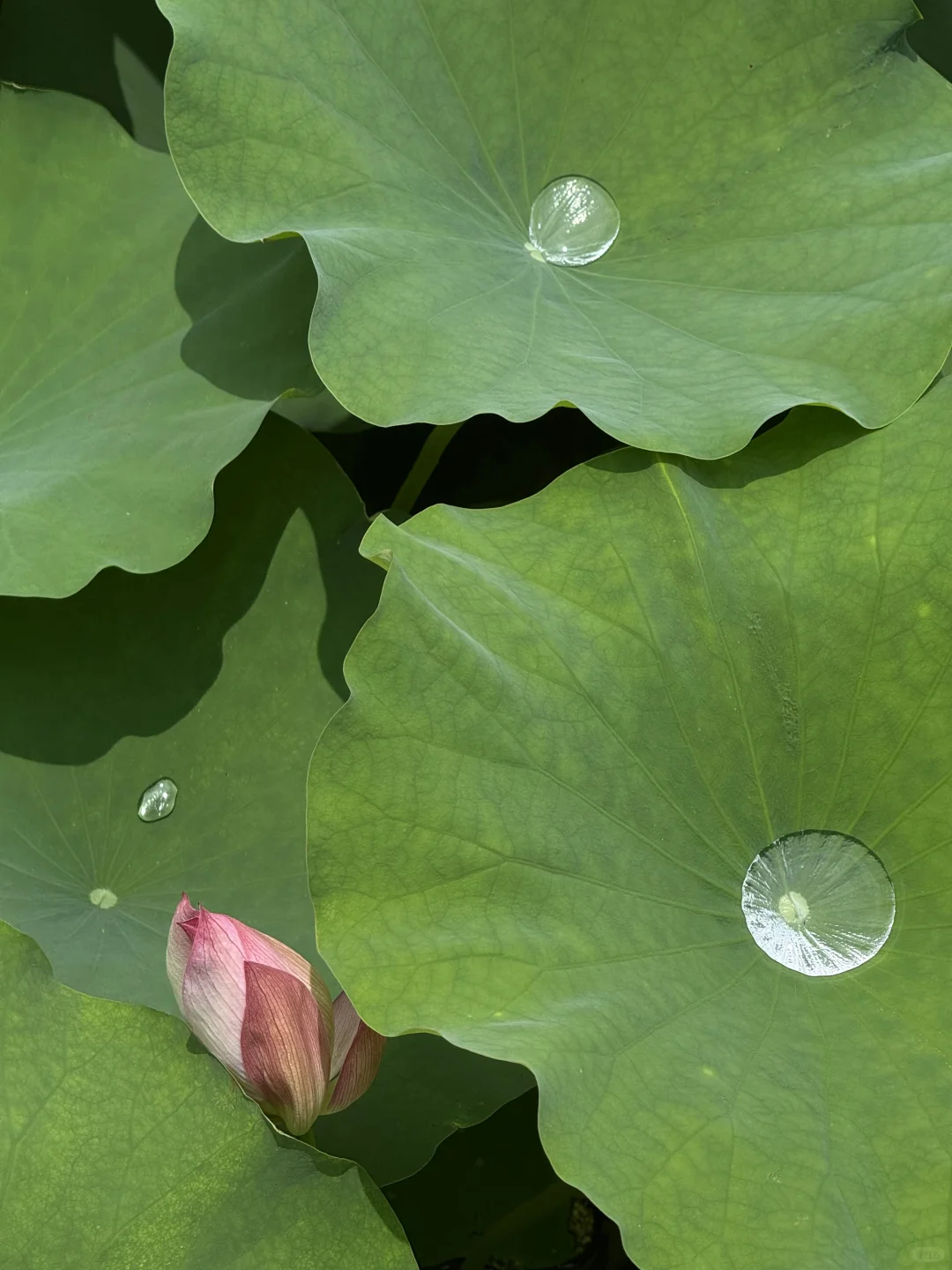 我很少用“震撼”形容一场展览！！梦幻剪纸美哭