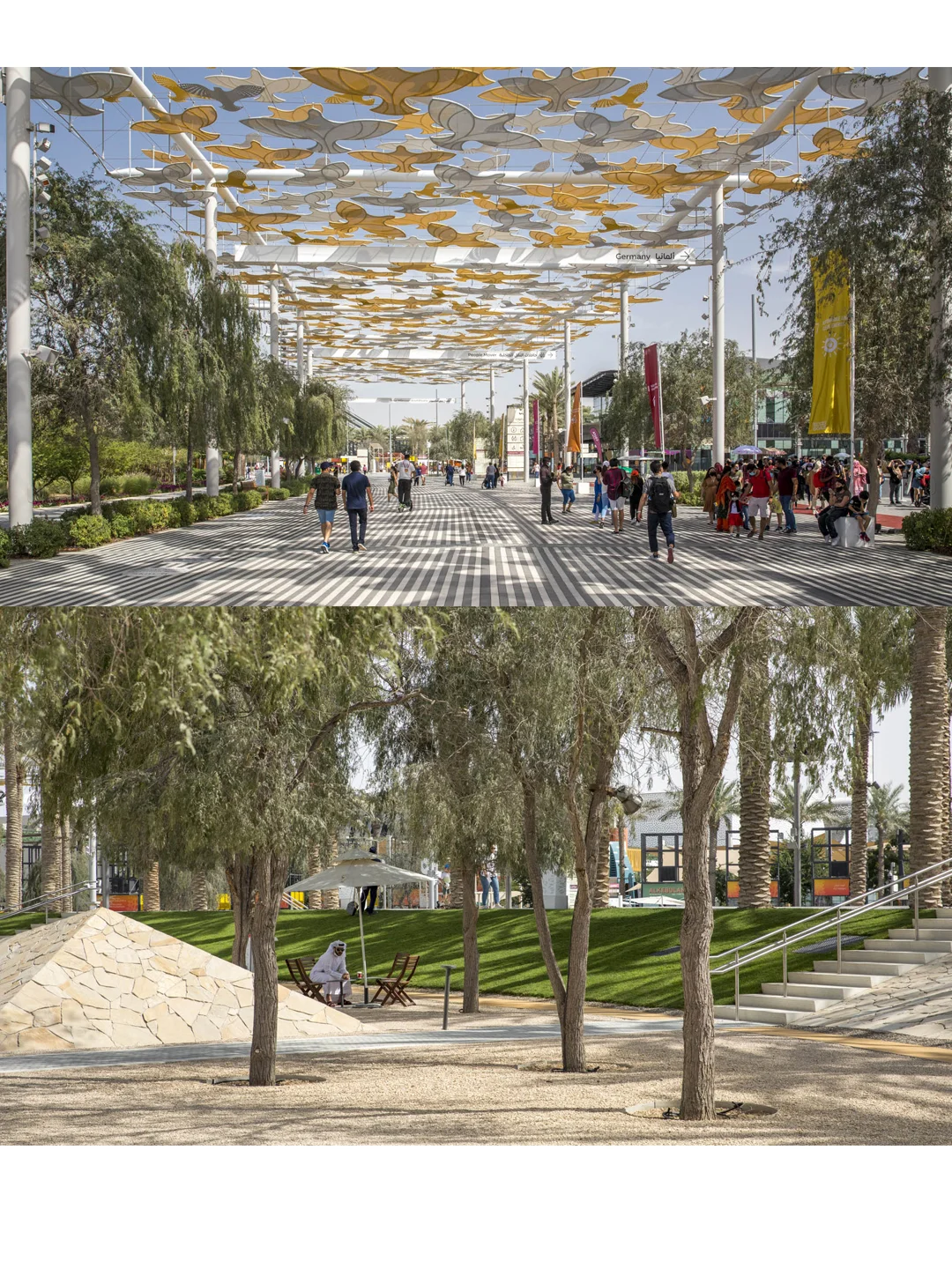 用景观驯服50℃沙漠,让千万人暴走不暴汗!