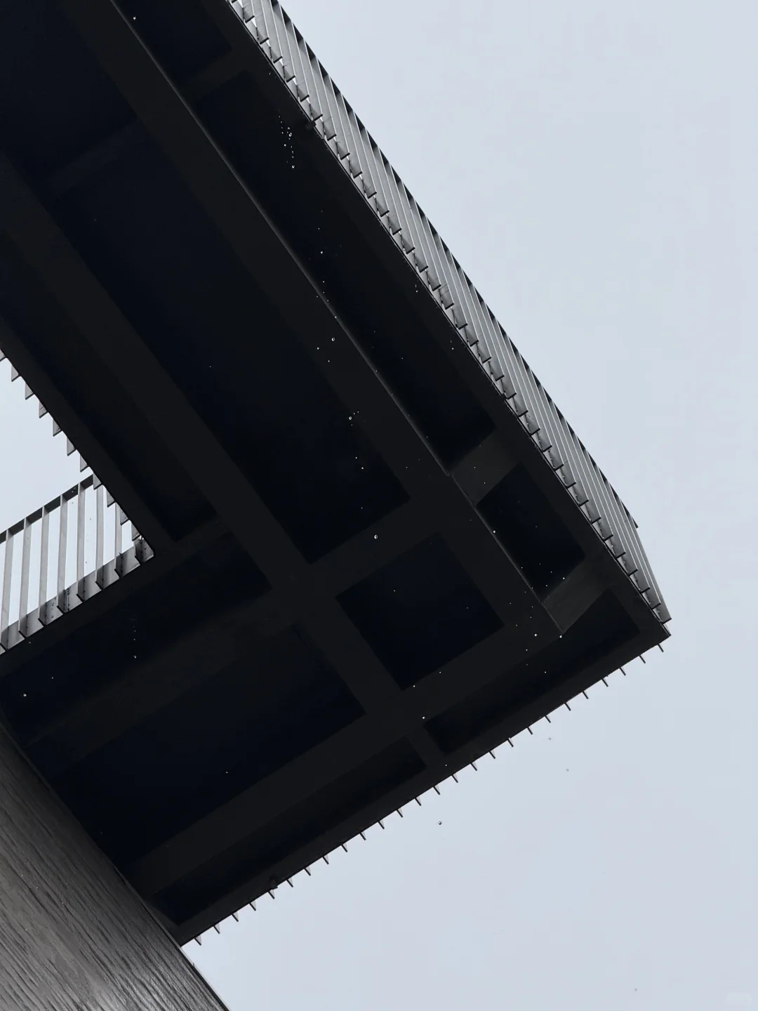 我很少用“震撼”形容一场展览！！梦幻剪纸美哭