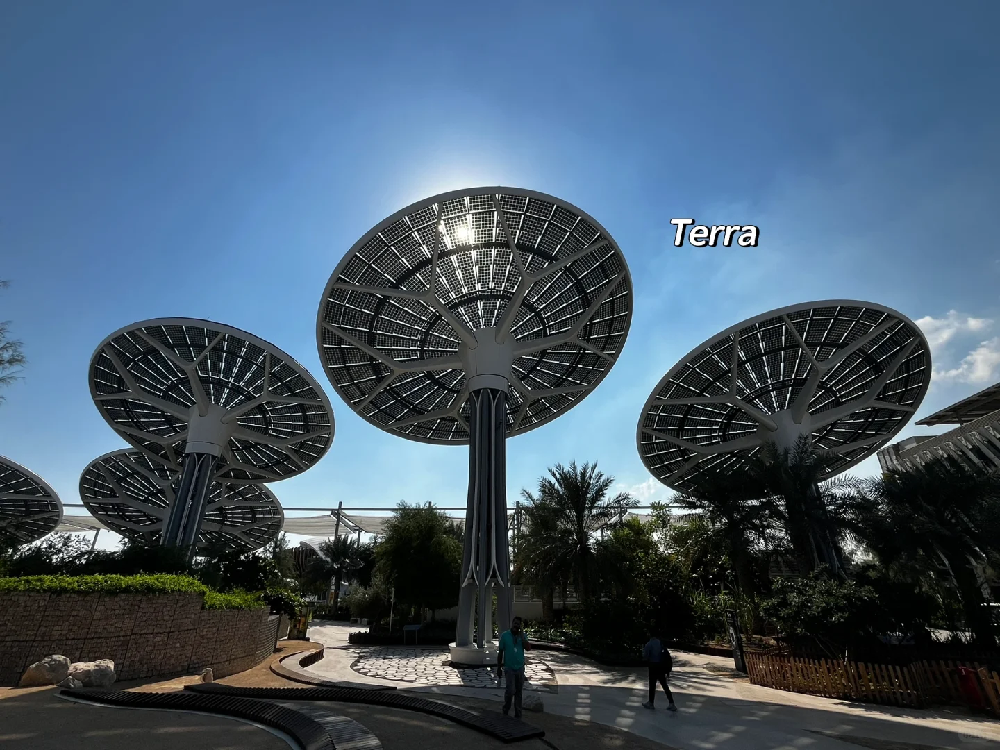 COP28之神奇的建筑