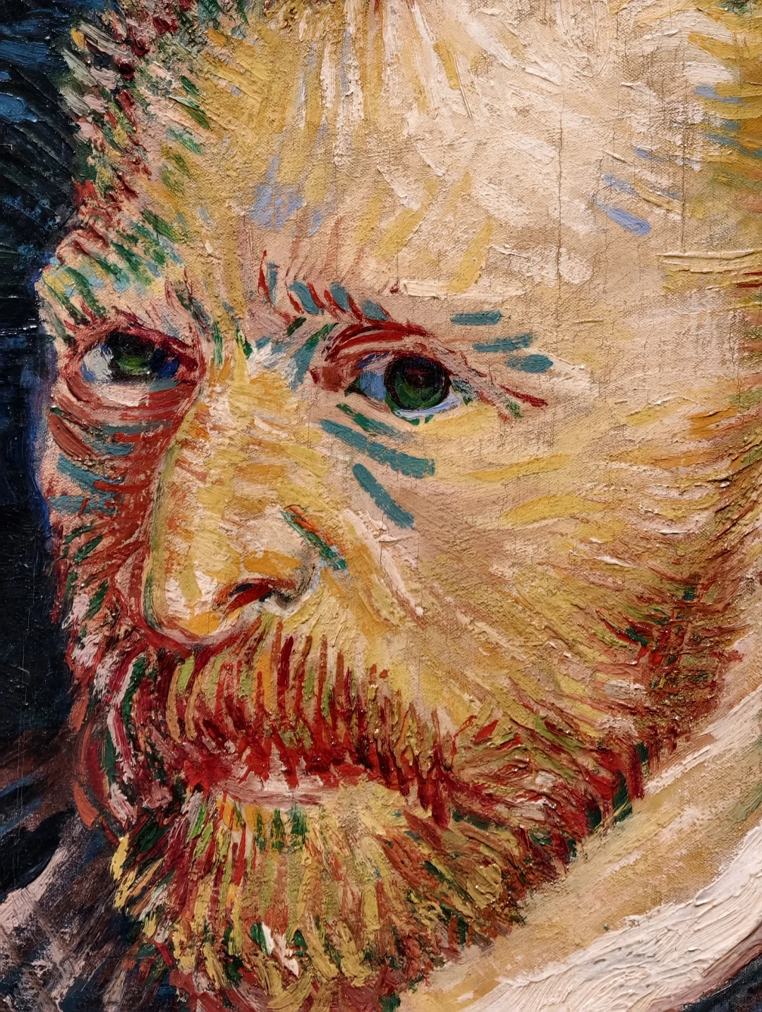 踩到奥赛展的尾巴