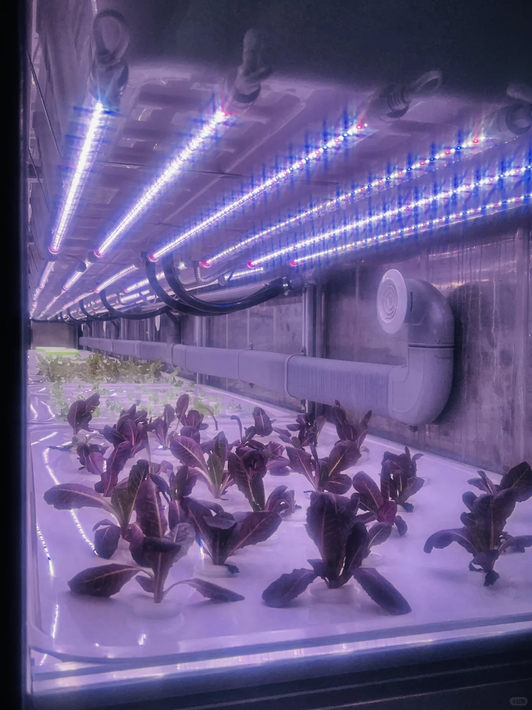 银川|中阿博览会