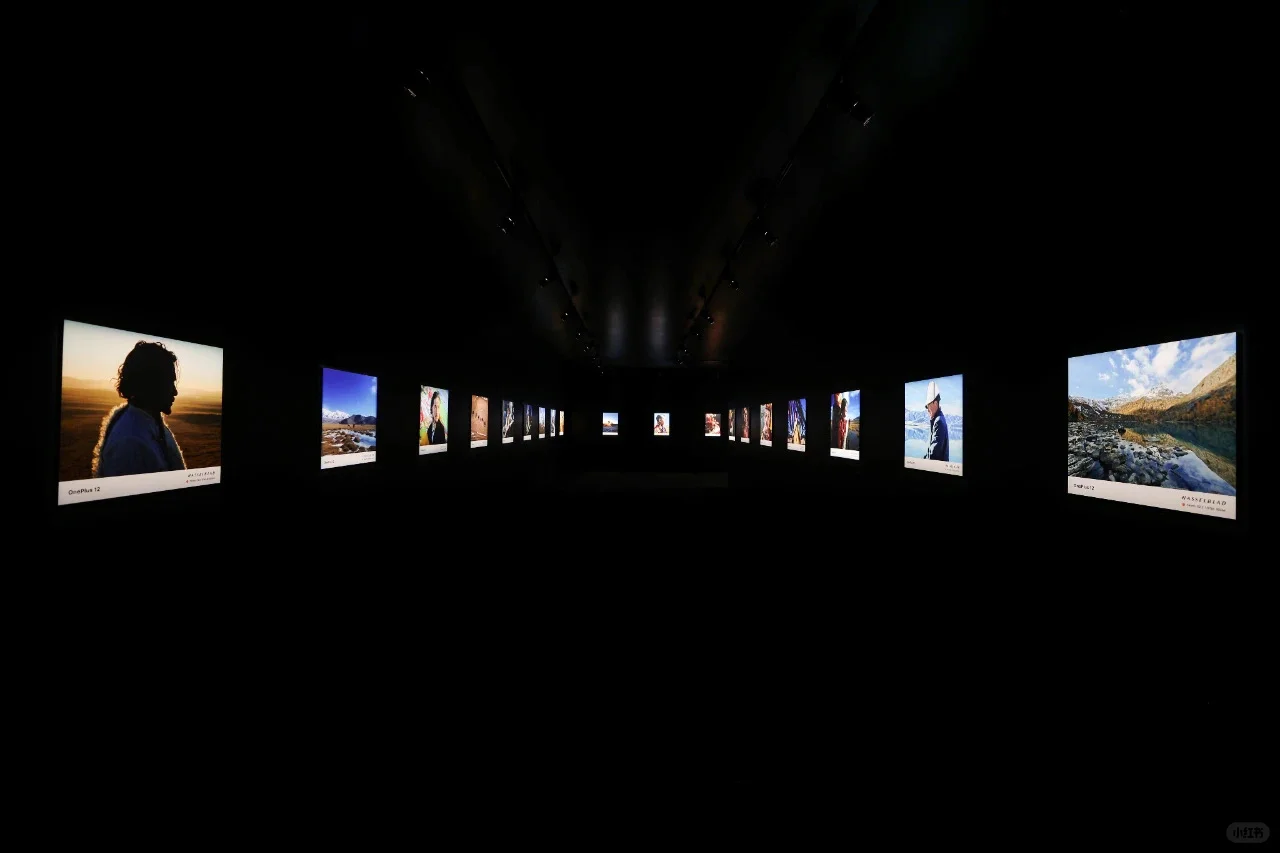 活动案例分享 | 一加12新品发布会