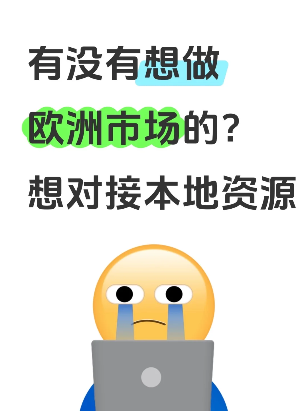 有没有想做欧洲市场的？想对接本地资源的啊