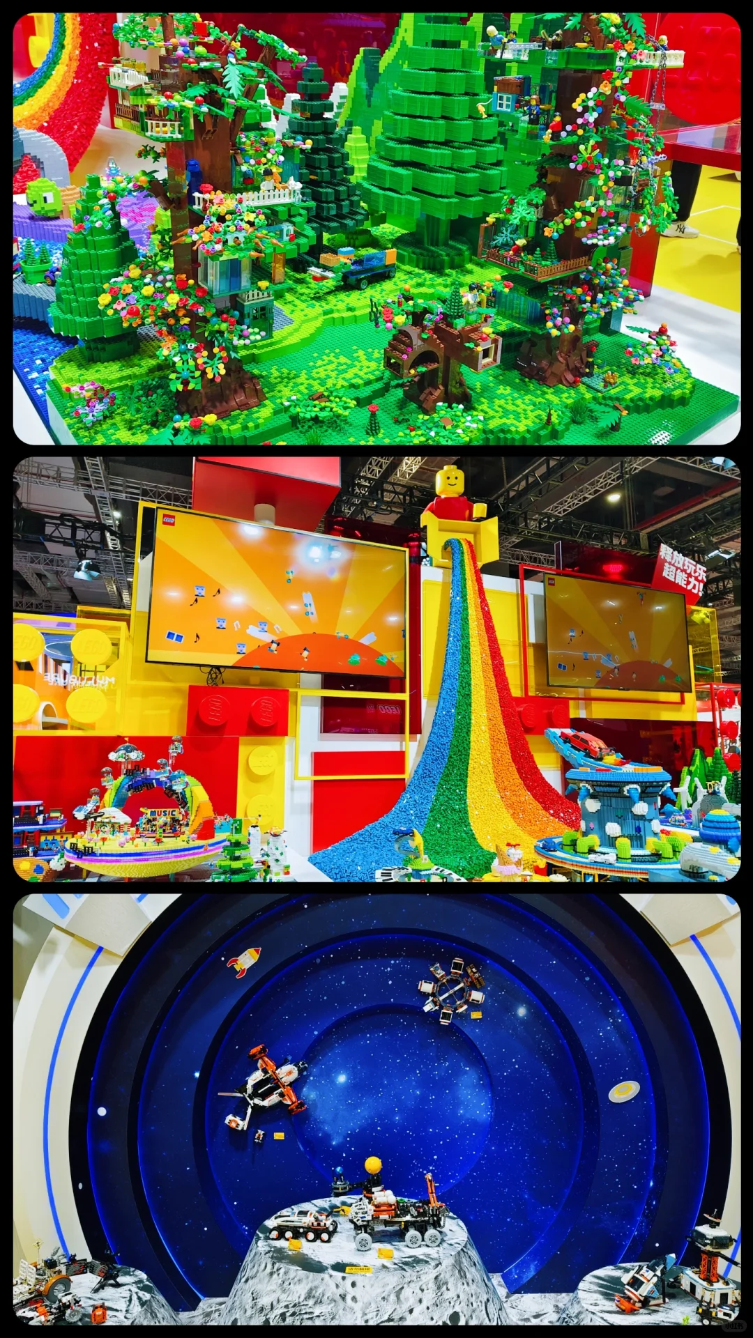 同济学子勇闯进博会