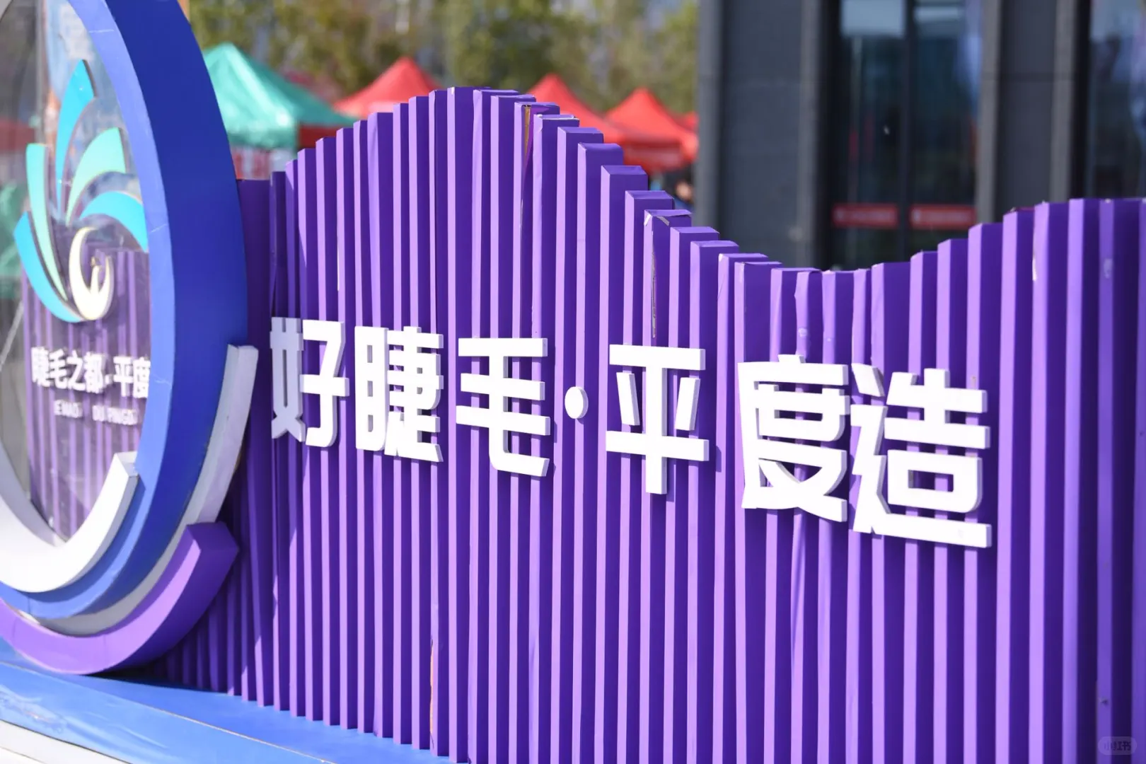 青岛这场睫毛展把“省钱省事”焊死了✨