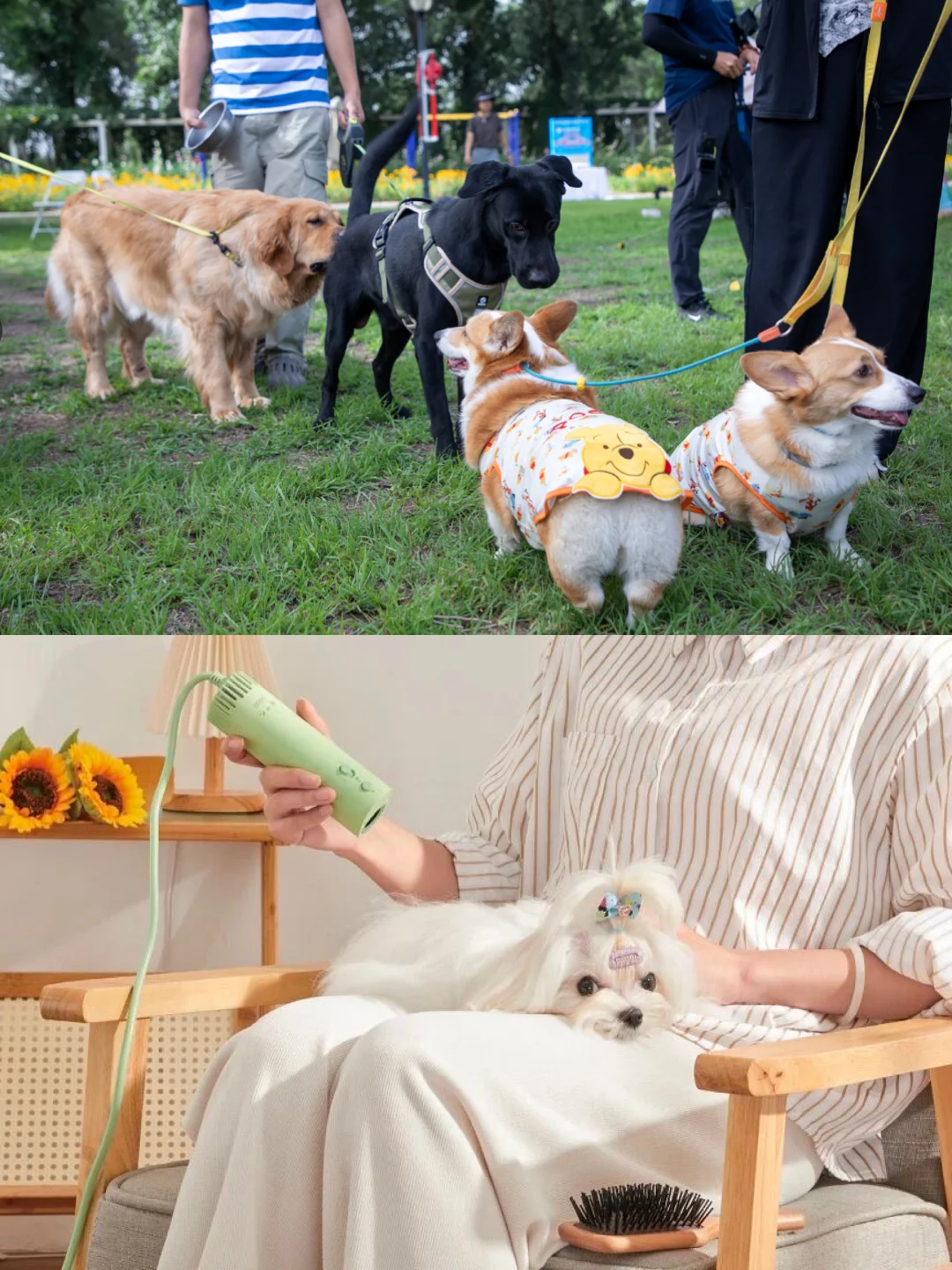 “同事最期待的展，史上规模最大，免费领票！”